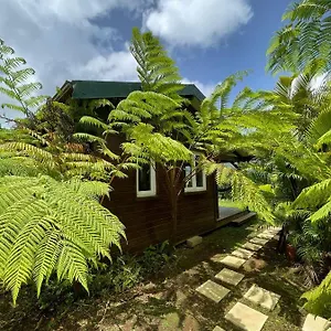 A Flanc De Colline , Le Morne-Rouge Martinique